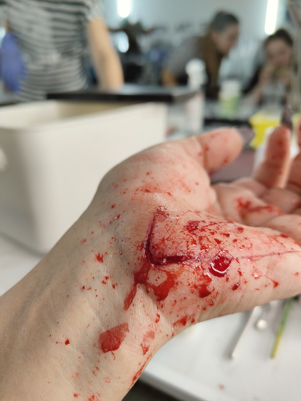 Fake Blood приклад 8